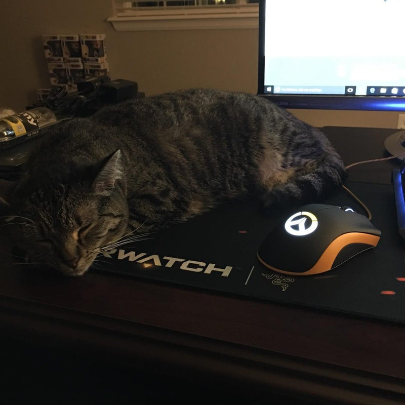 Maus Gaming Razer Deathadder Overwatch Edition foto 4