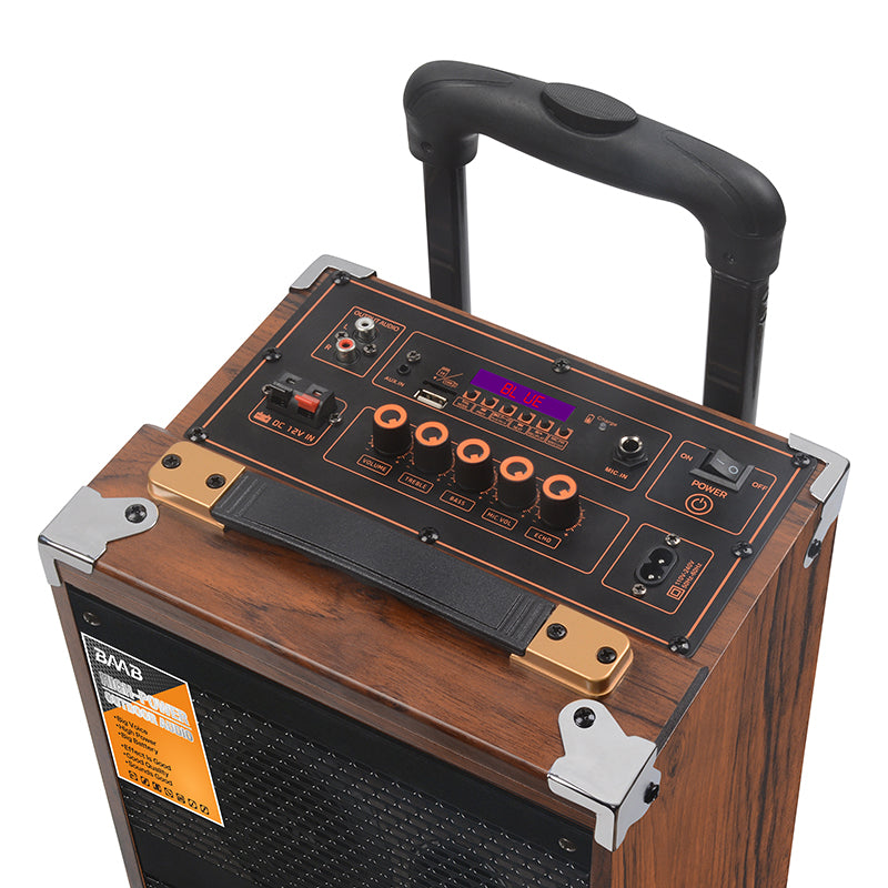 Speaker B-Q8 8inch foto 2