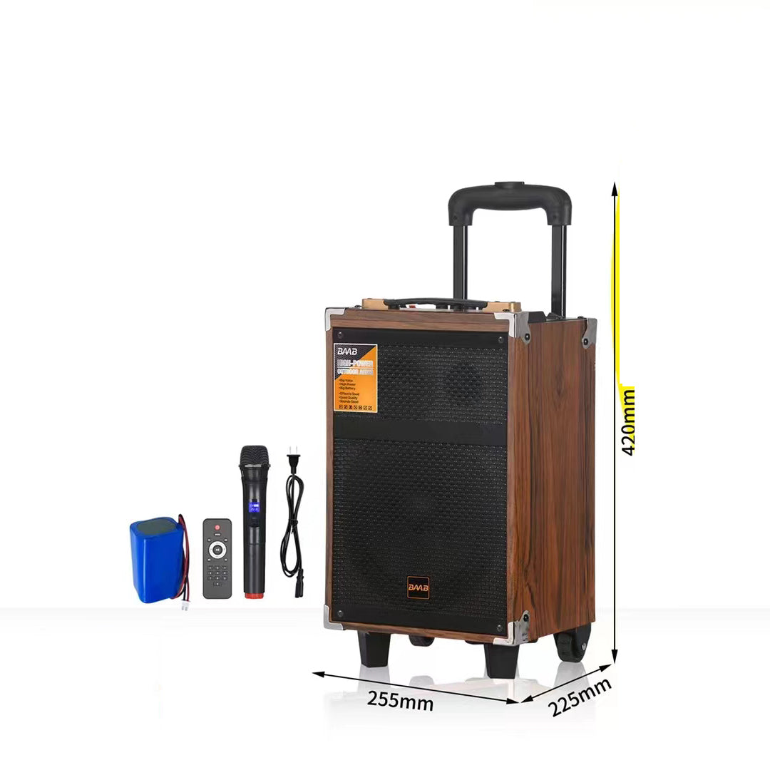 Speaker B-Q8 8inch foto 4