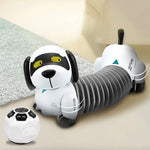 Smart Dog foto 1