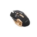 Maus Gaming Biagji Revolution MT25