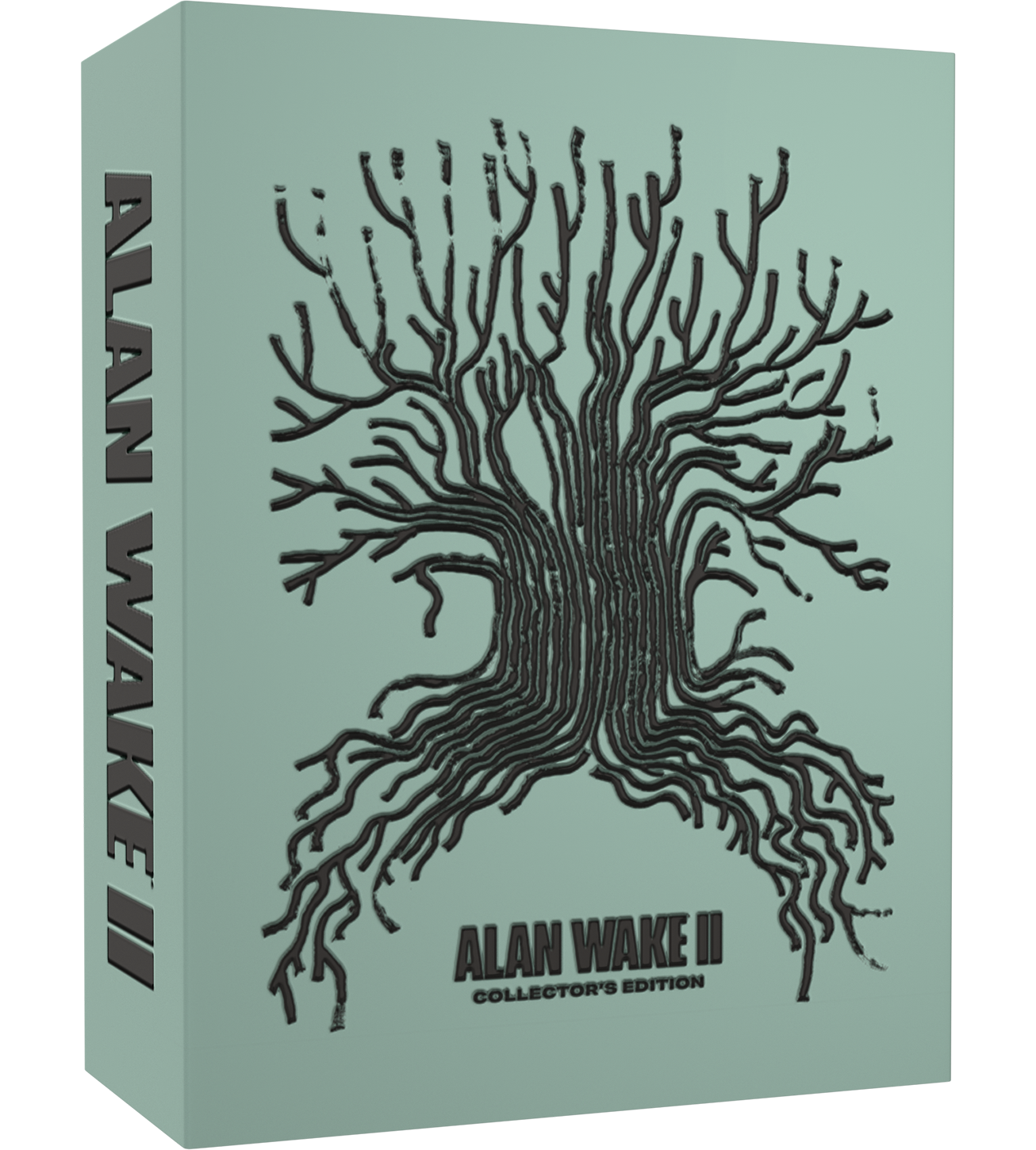 Alan Wake 2– Deluxe Edition– PS5 - foto 1