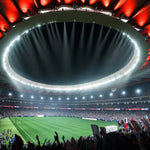 EA SPORTS FC 24 Standard Edition PS5 foto 2