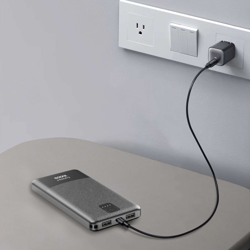 Earldom Power Bank- PB66