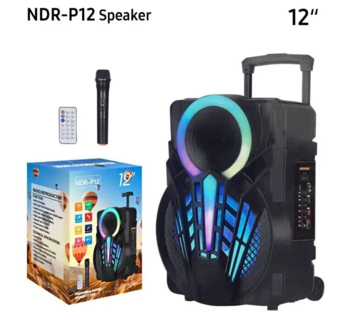 Speaker – Ndr-P12 foto 4
