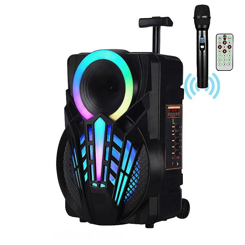 Speaker – Ndr-P12 foto 1