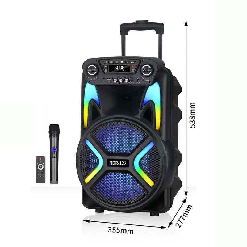 Speaker – NDR122 foto 4