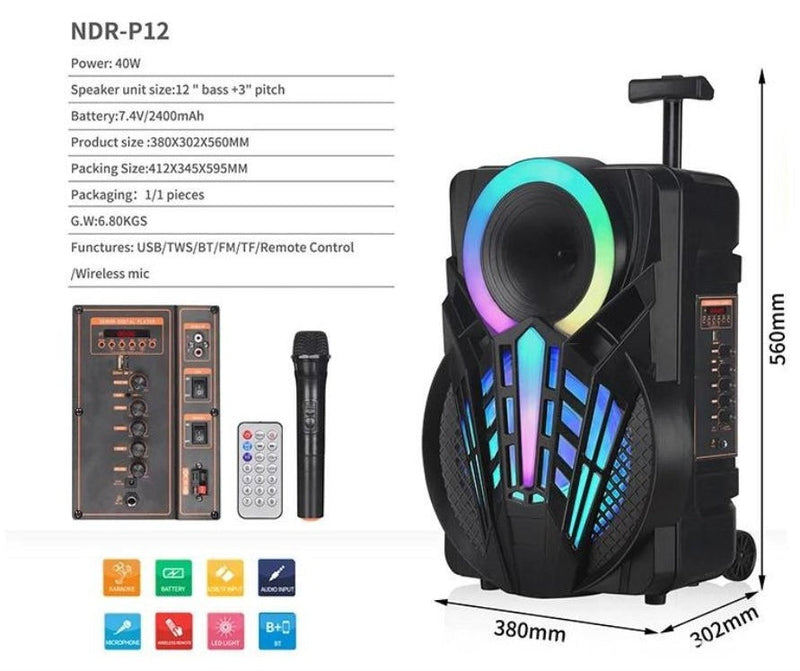 Speaker – Ndr-P12 foto 3