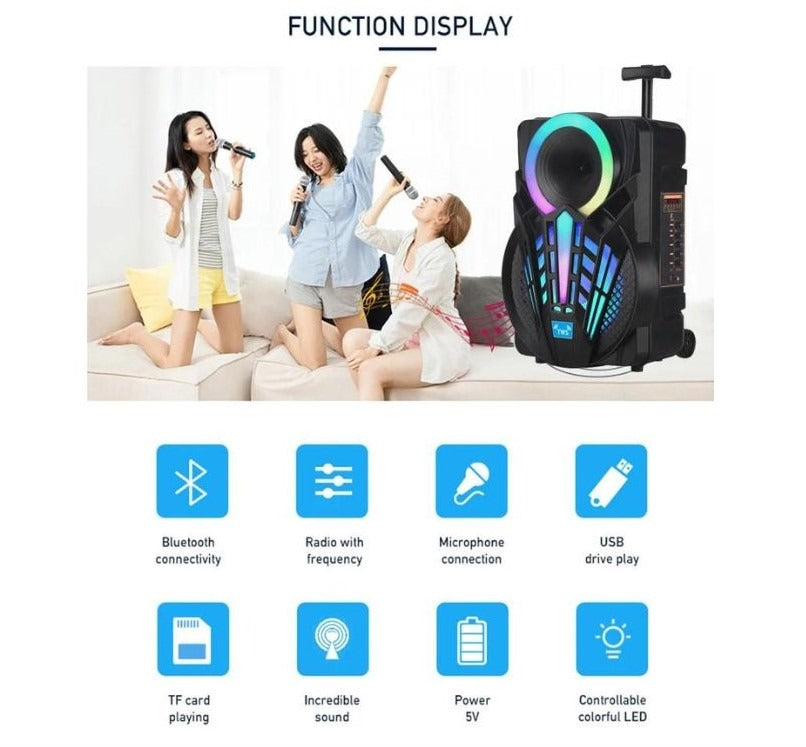 Speaker – Ndr-P12 foto 2